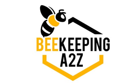 What happens to bees when the hive is removed? [ Detailed Answer ]