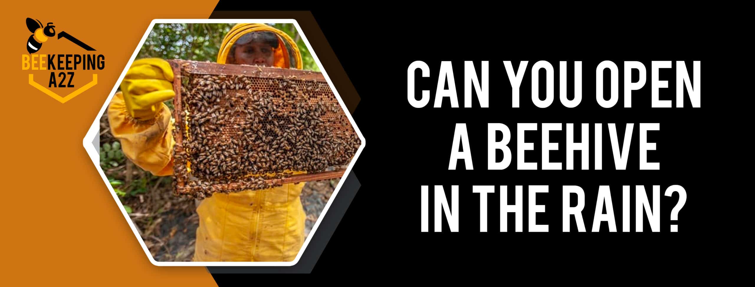 Can you open a beehive in the rain? [ Detailed Answer ]