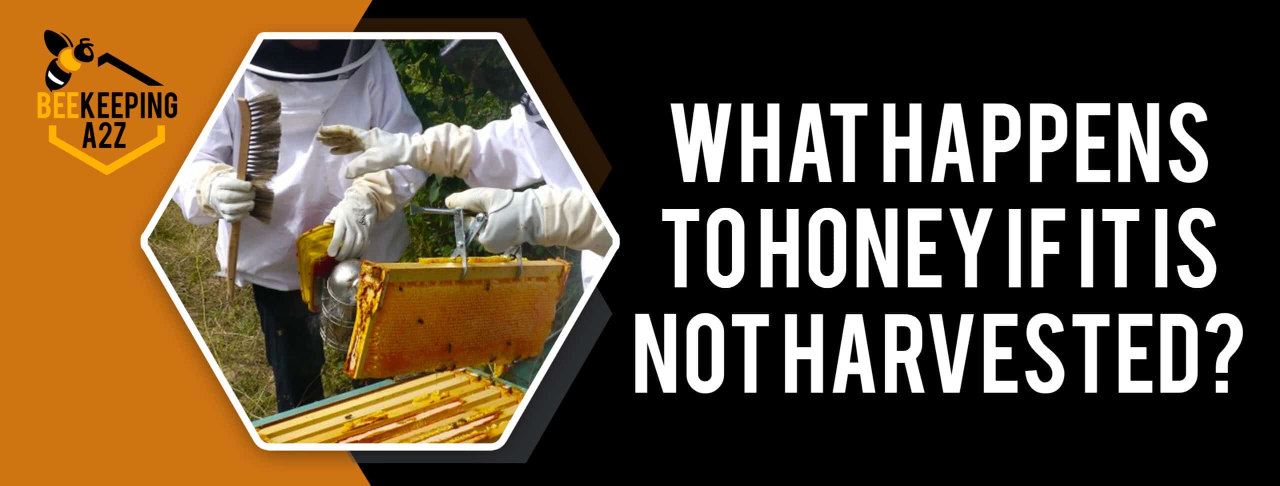 What happens to honey if it's not harvested? [ Detailed Answer ]