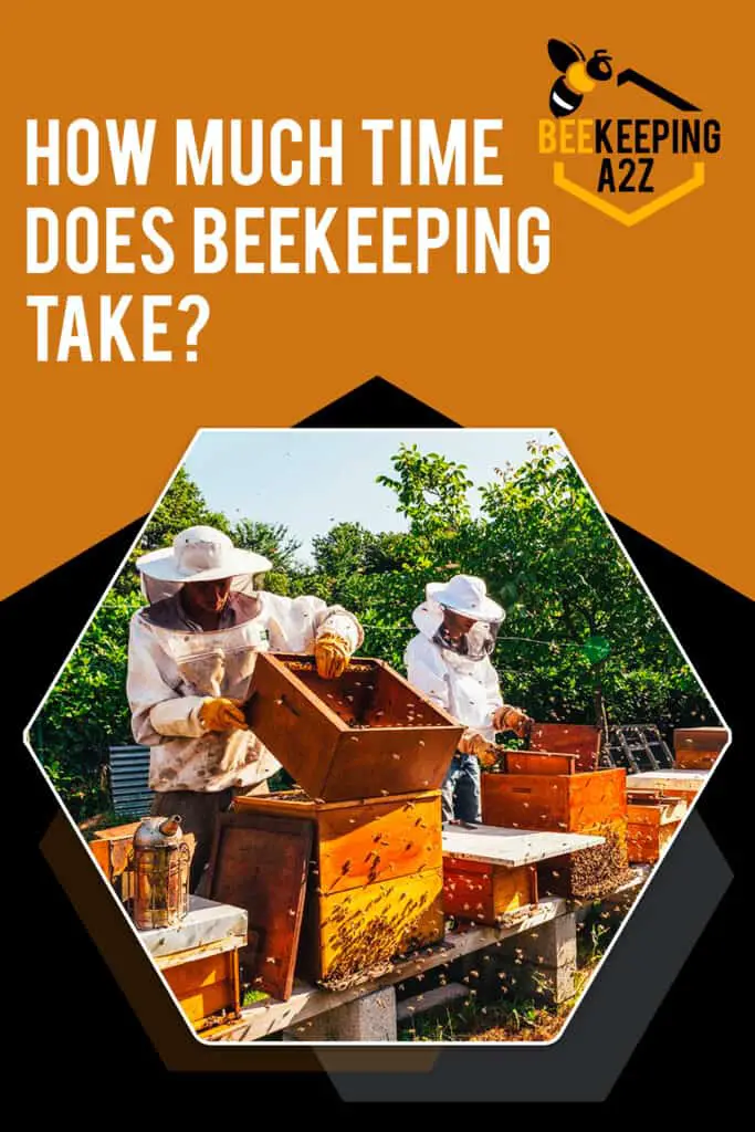 How much time does beekeeping take