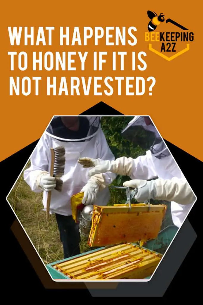 What happens to honey if it’s not harvested